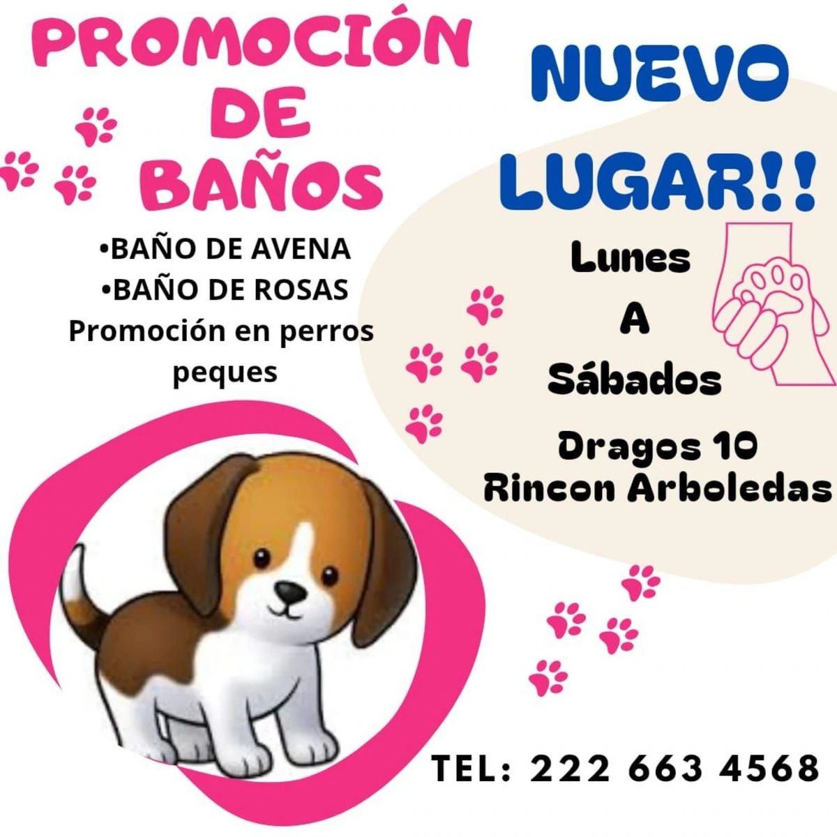 Baños estética y terapias para perros