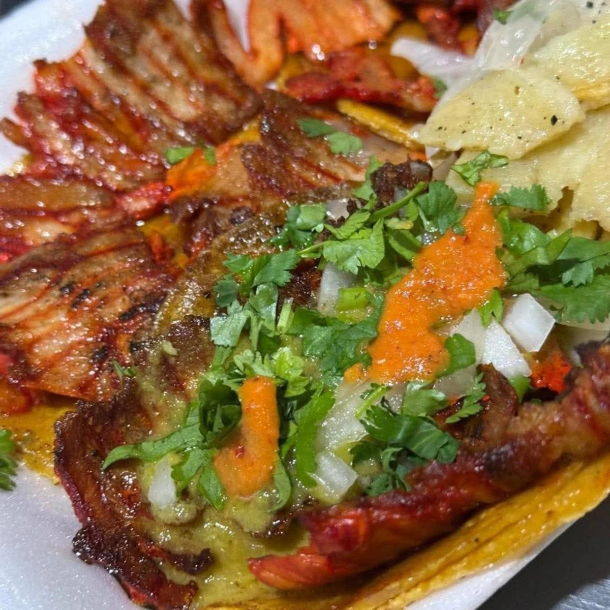 Deliciosas taquizas para eventos o cenas familiares o empresariales