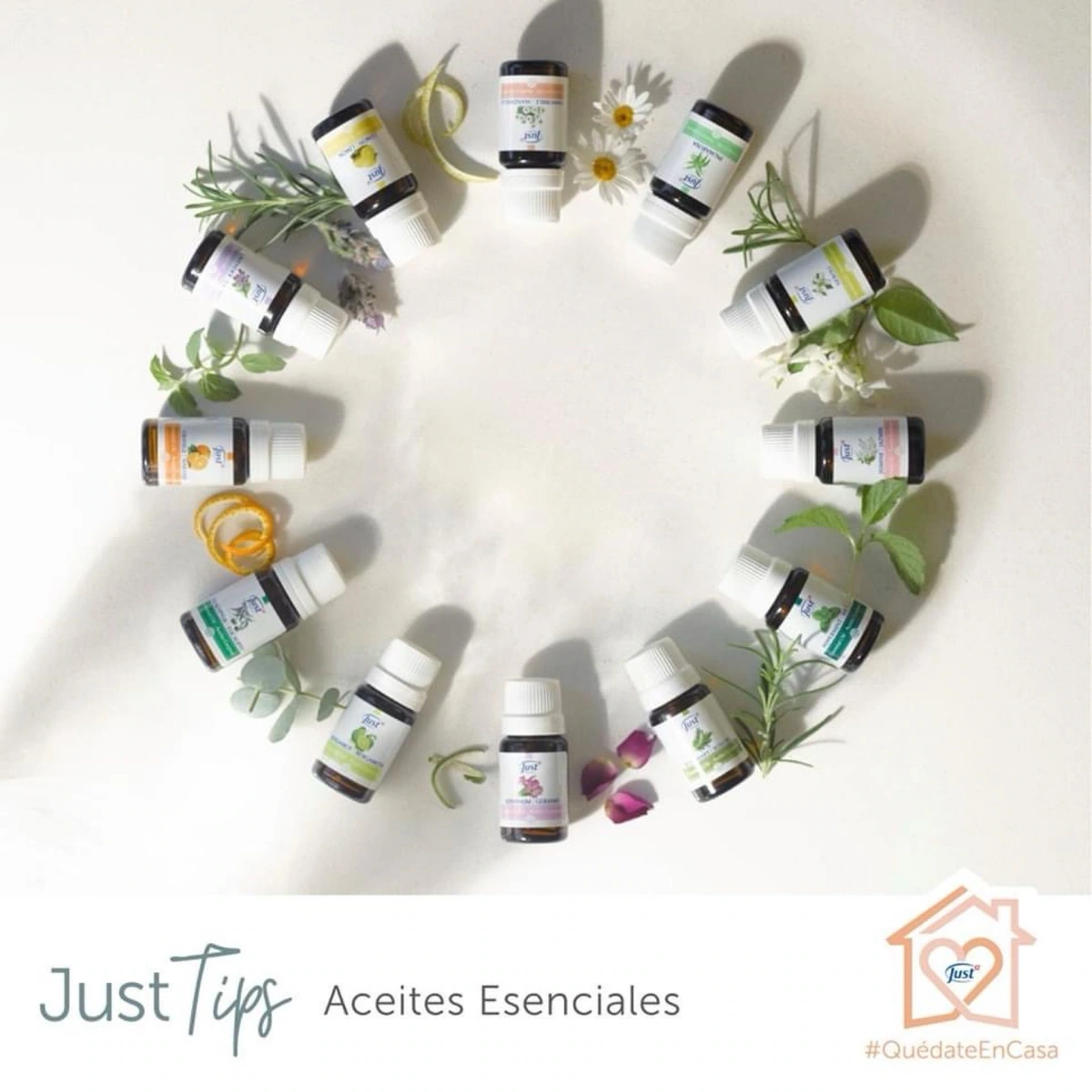 Productos SWISSJUST