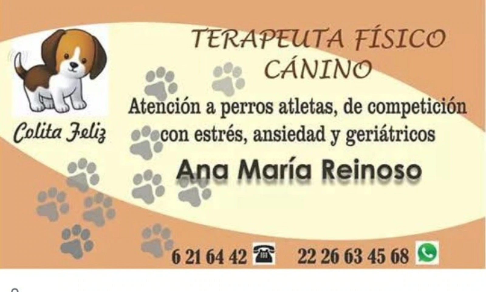 Masaje profesional canino