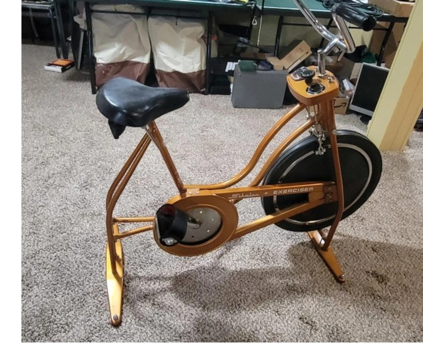 Bici fija