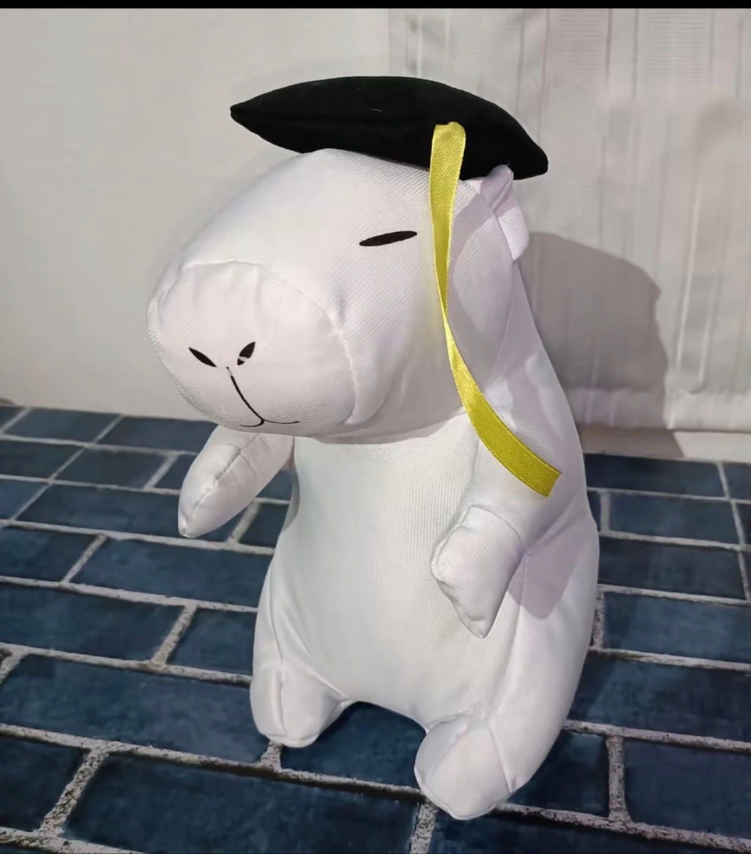 Peluche
