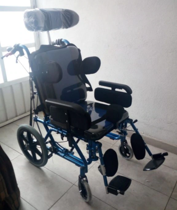 Silla De Ruedas Pca Parálisis Cerebral Adulto