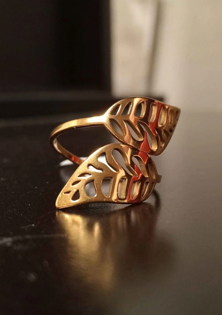 Anillo de acero inoxidable