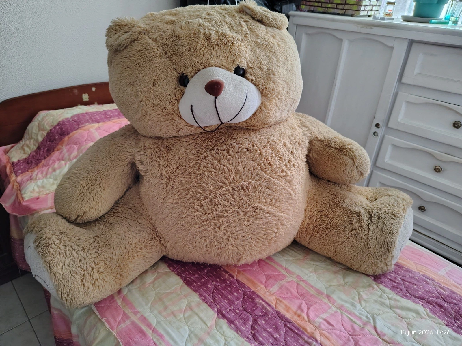 Oso gigante