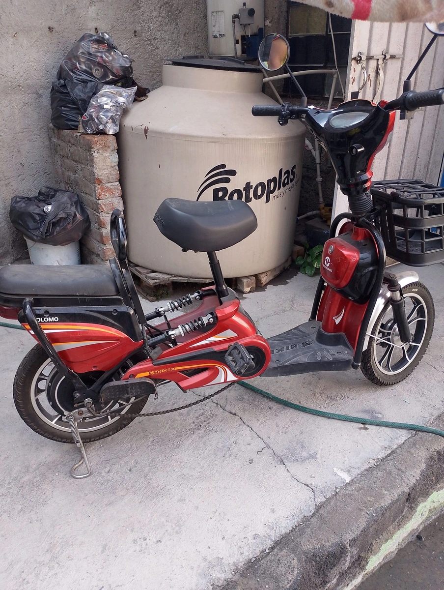 Moto electrica