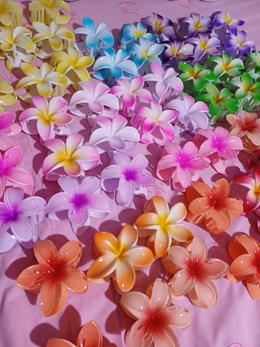 Pinza Hibiscus flor hawaiana 🌺