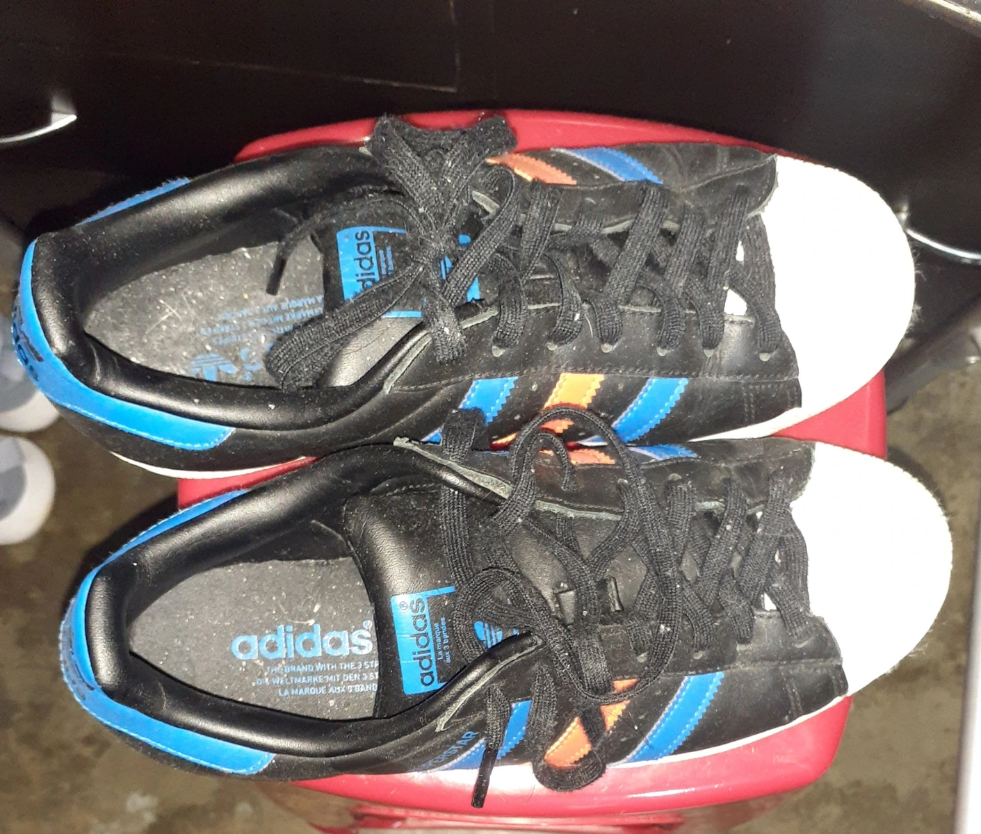 Tenis
