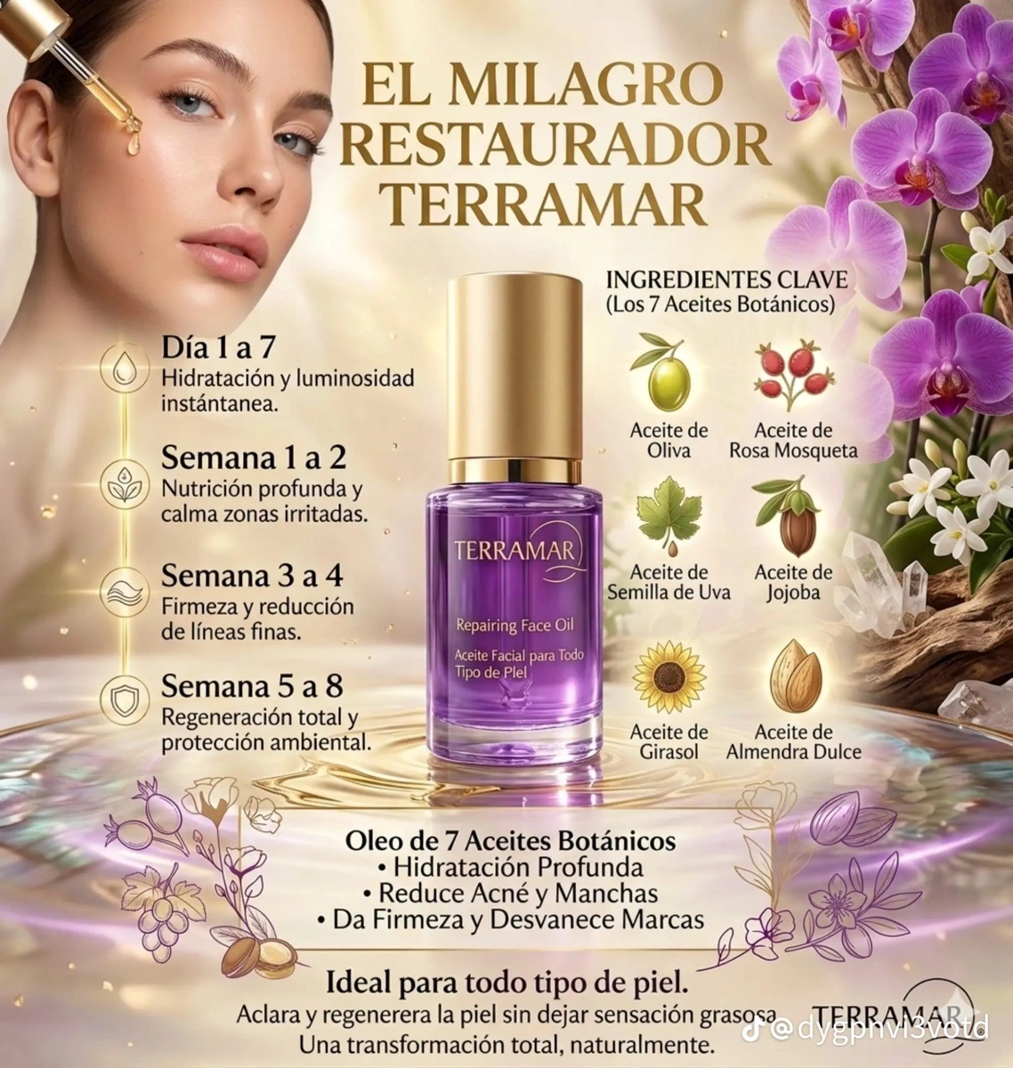 Terramar