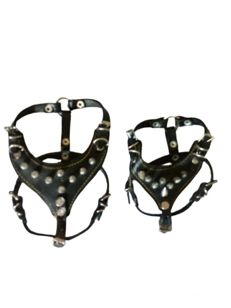 Pechera De Piel Con Picos Negra Para Perro Pequeño Y Chico
