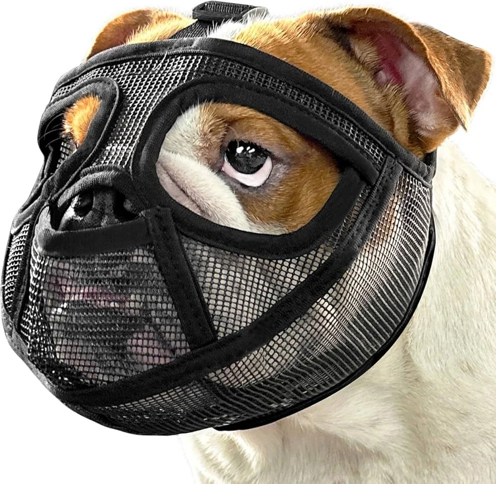 Bozal Suave Malla Perros Hocico Corto Pug, Bulldog Frances Tamaño Chico