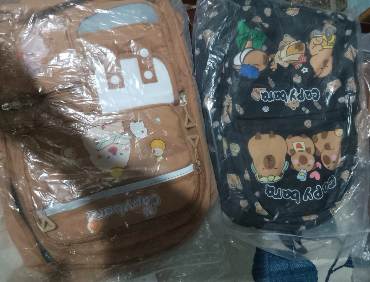 Mochilas escolares