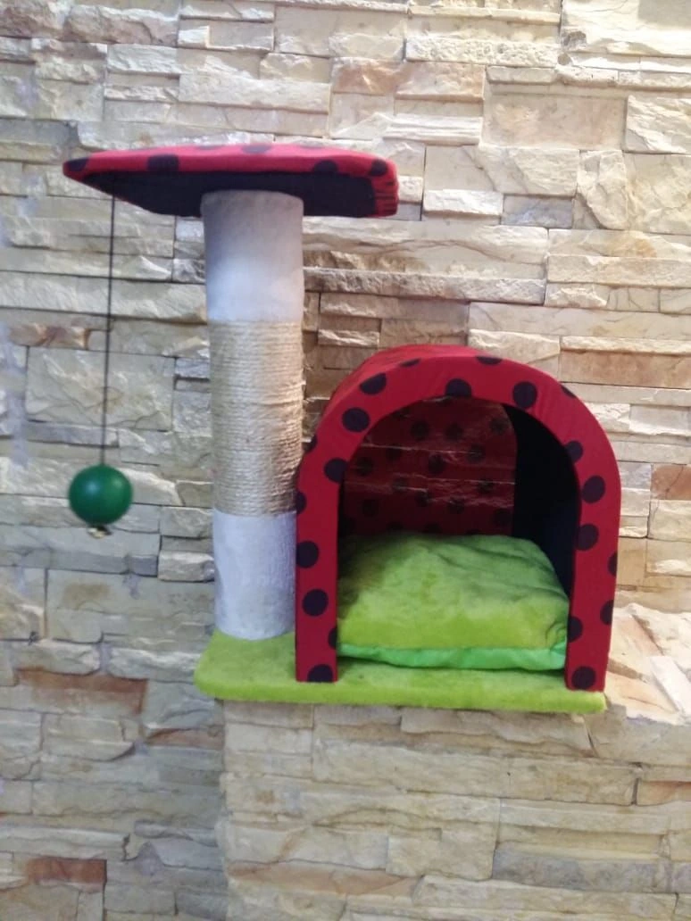 Rascadero modelo iglu