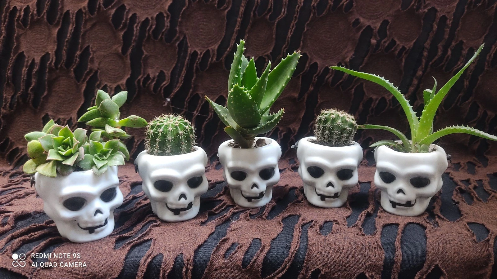 Macetita calavera mini