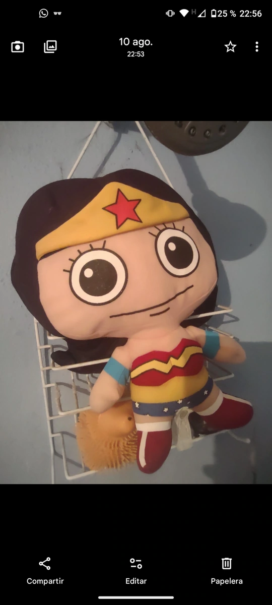 PELUCHE DE LA MUJER MARAVILLA REPARADO SE ENTREGA EN AV PANTITLAN Y SOR JUANA W5575404845