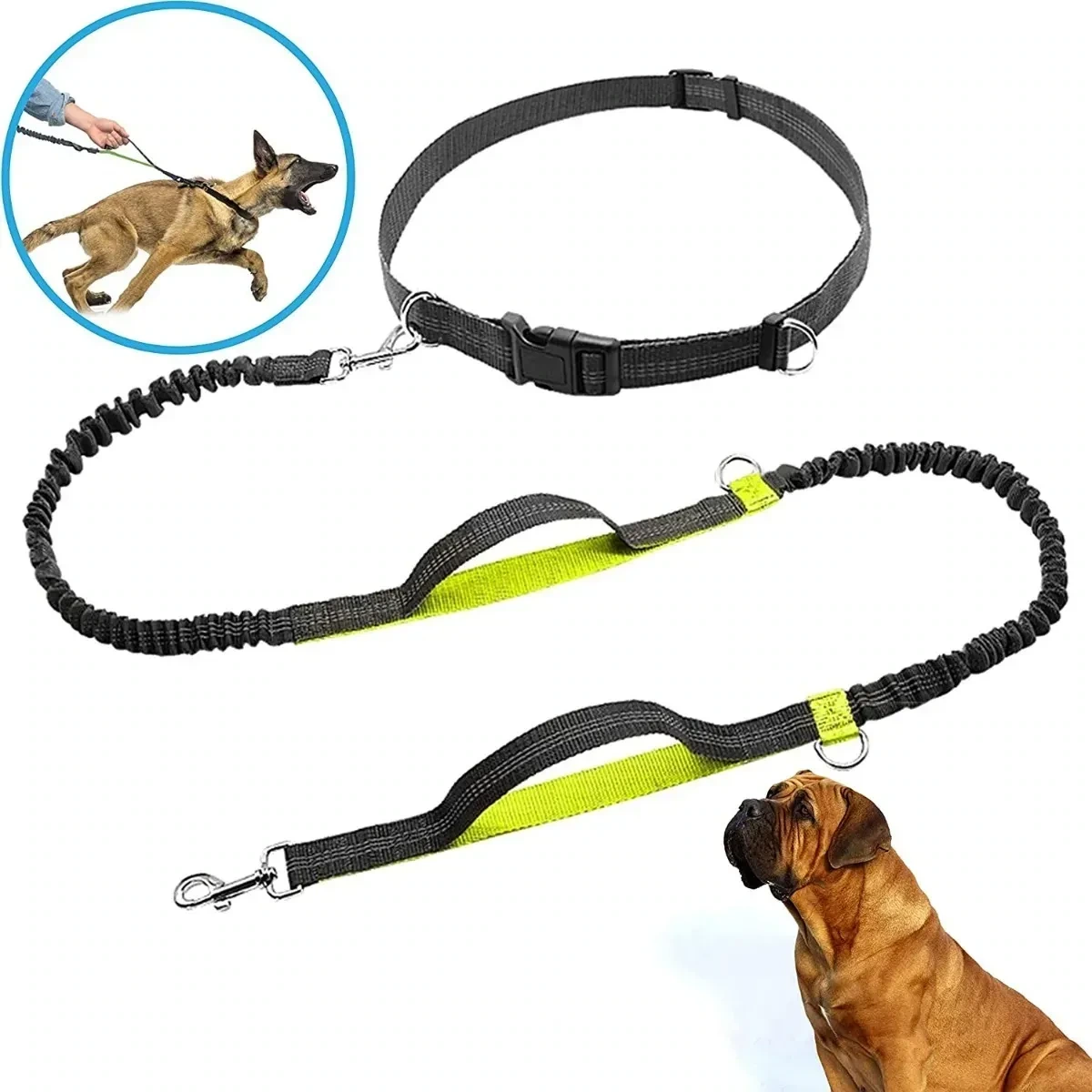 Correa para Perro Resistente Manos Libre