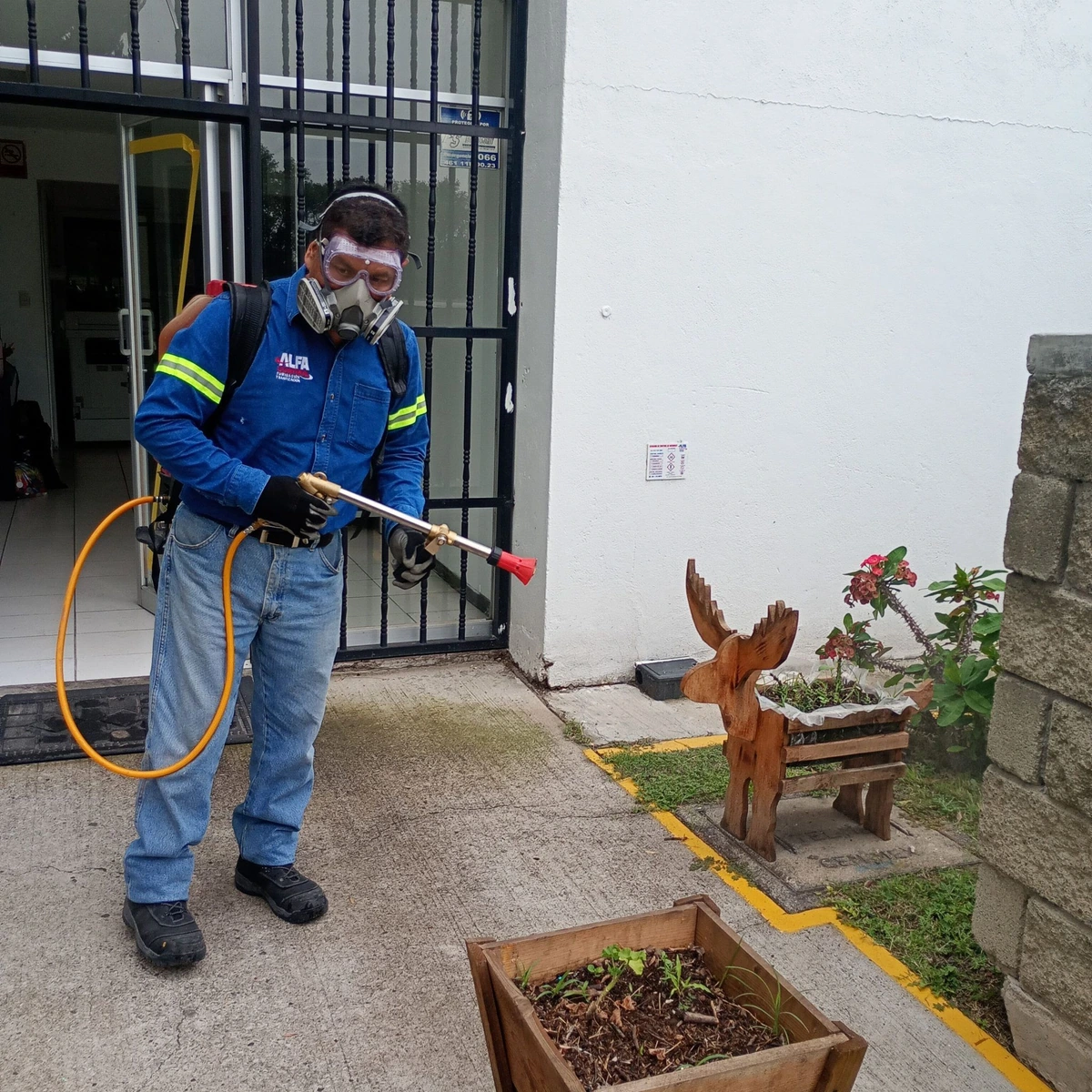 Servicio de fumigación