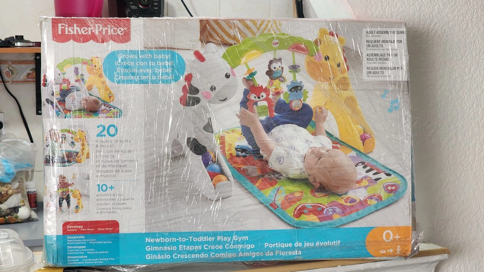 Gimnasio Fisher Price