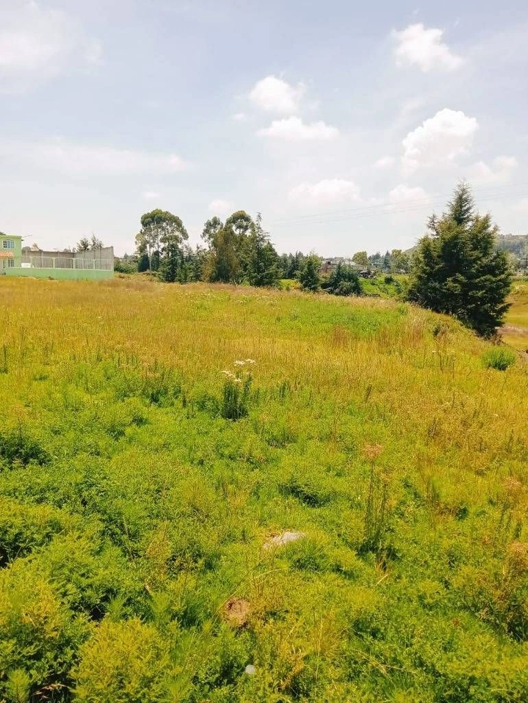Terreno en venta en Almoloya de Juarez