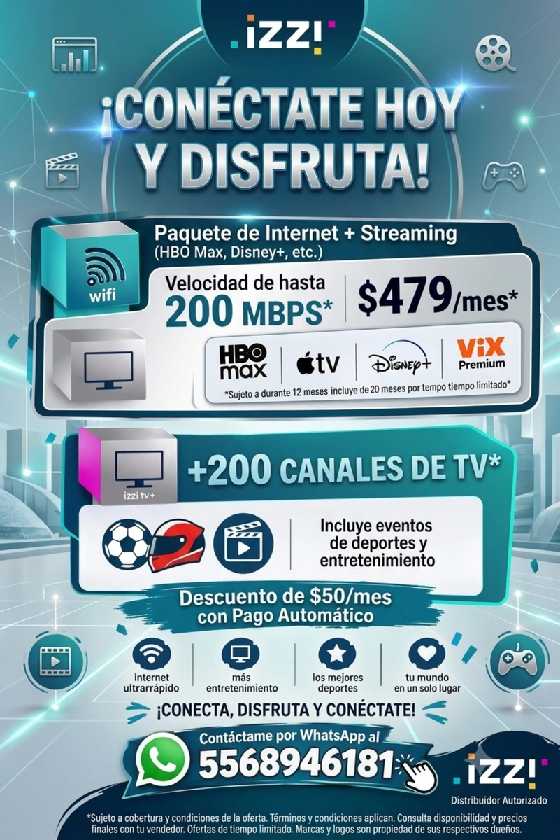 Servicio de Internet