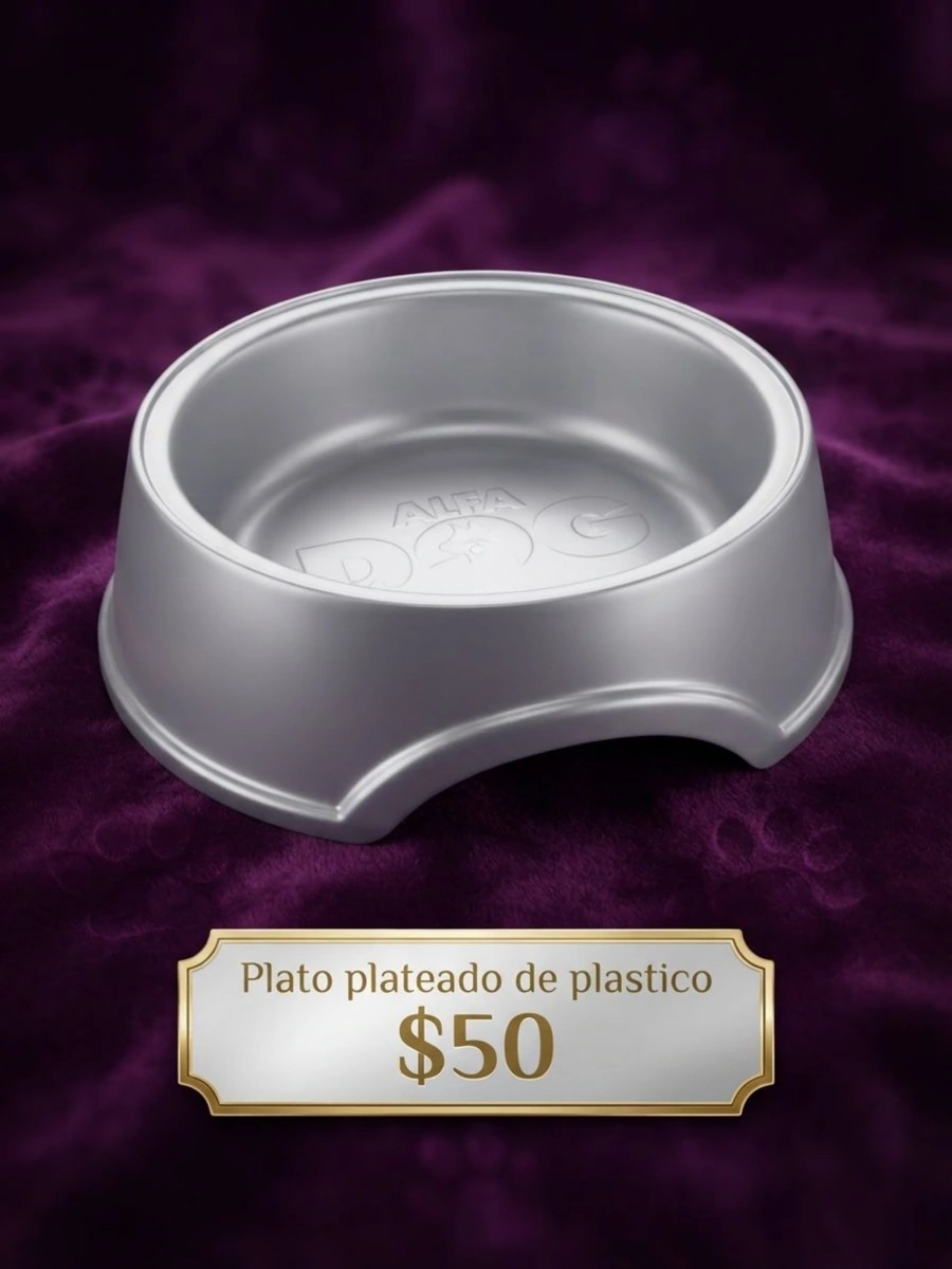 Plato plateado de plástico