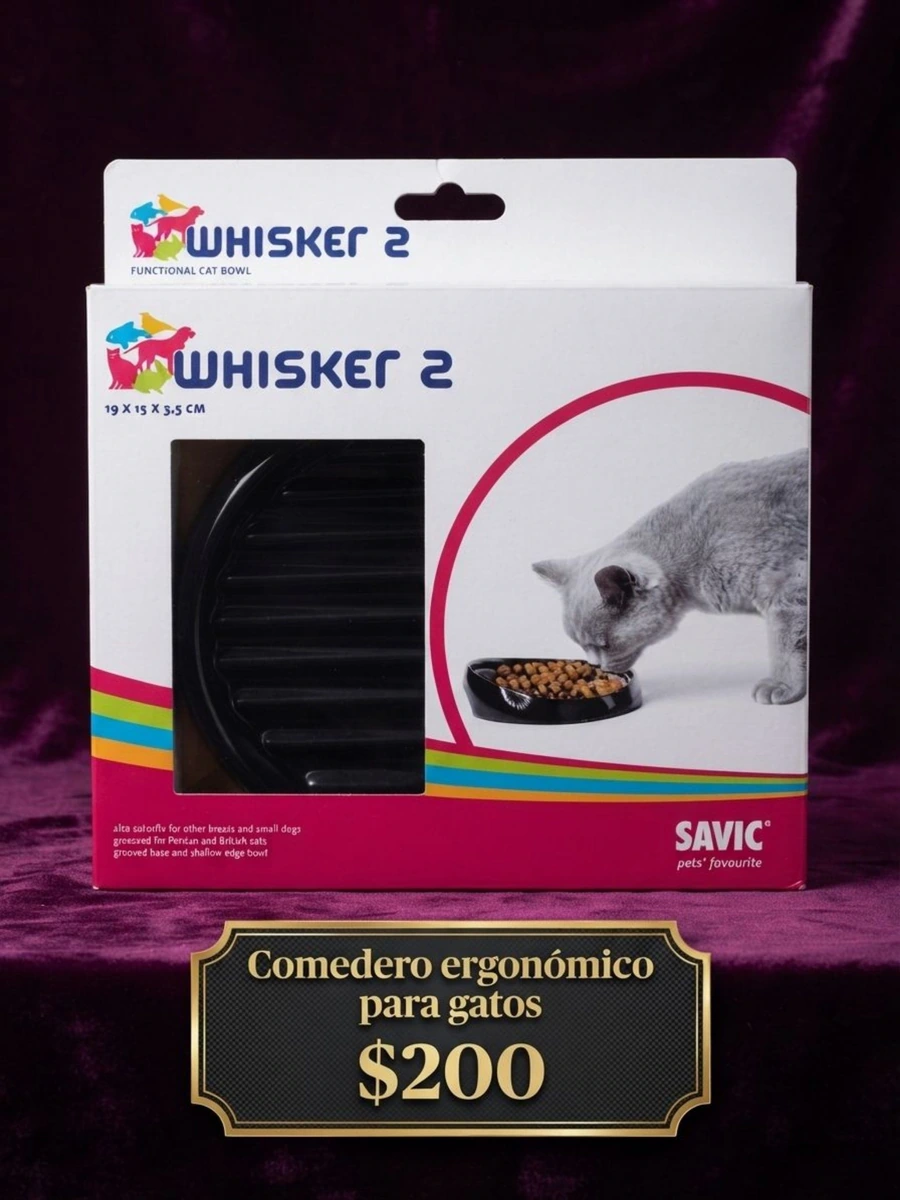 Comedero ergonómico para gatos