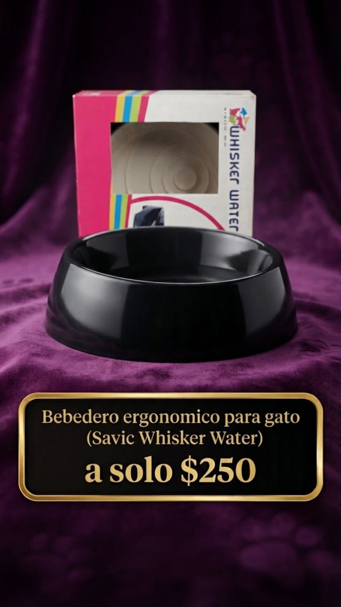 Bebedero ergonómico para gato