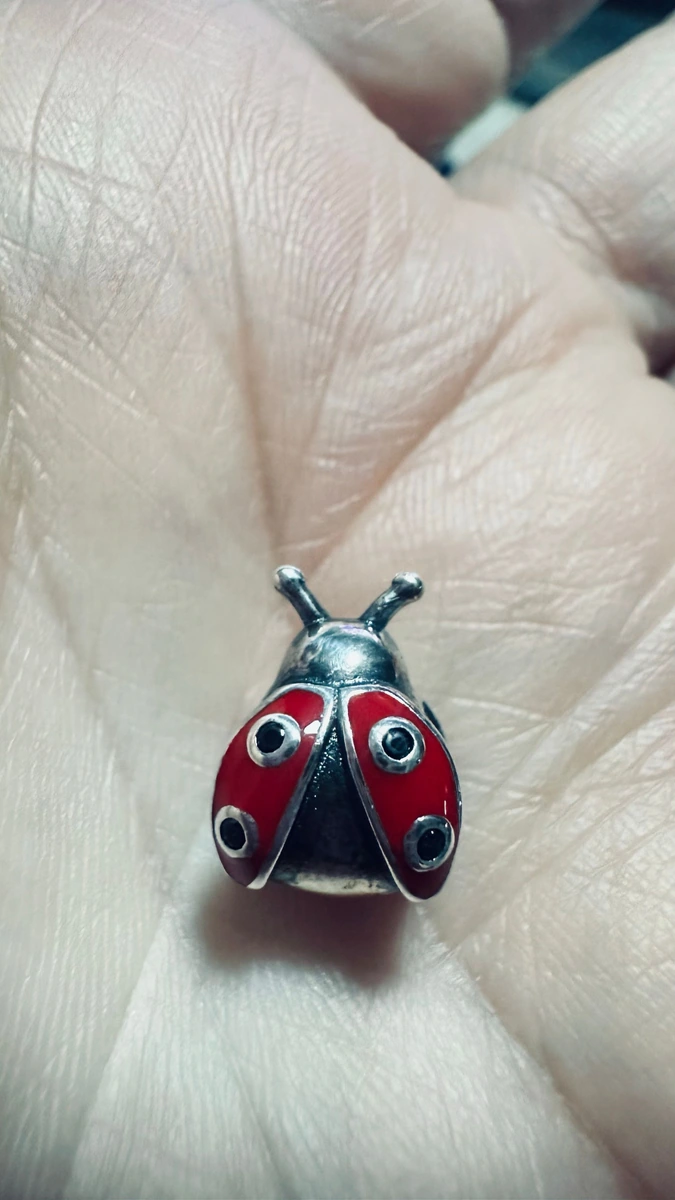 Charm Catarina