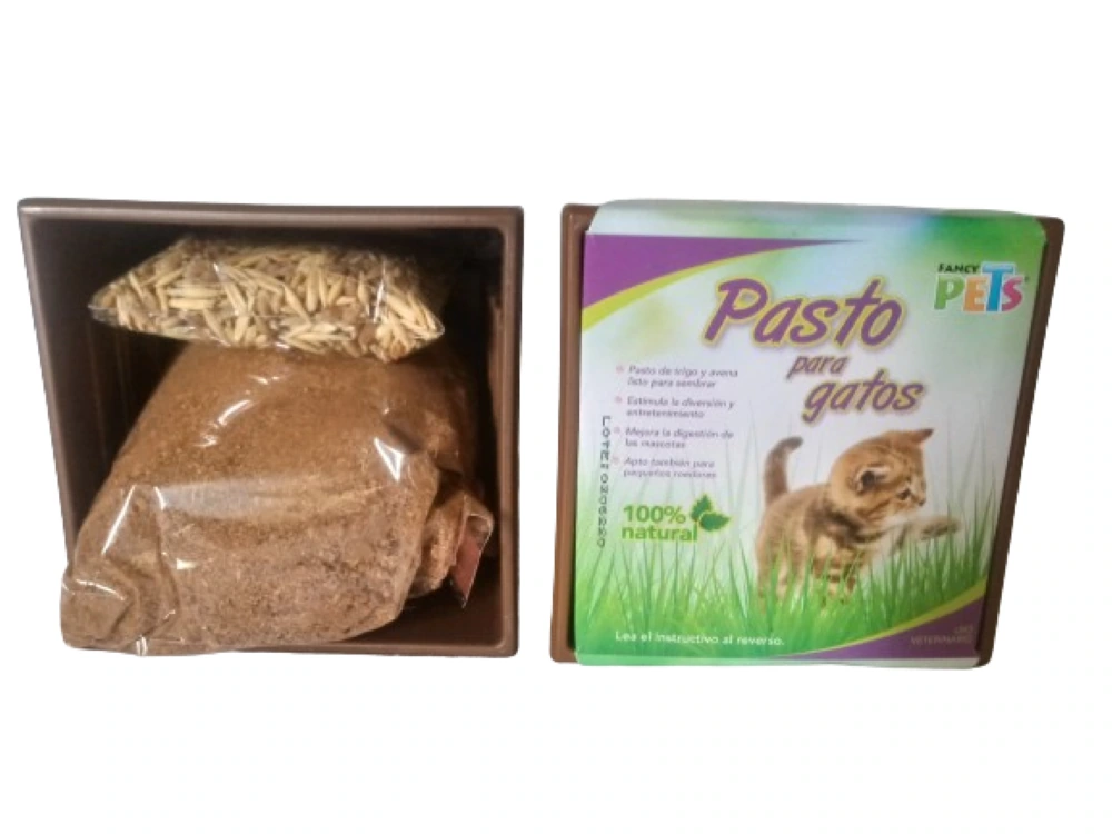 Pasto Para Gatos 100% Natural Fancy Pets
