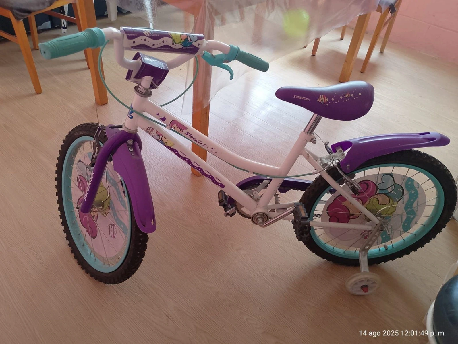 Bicicleta