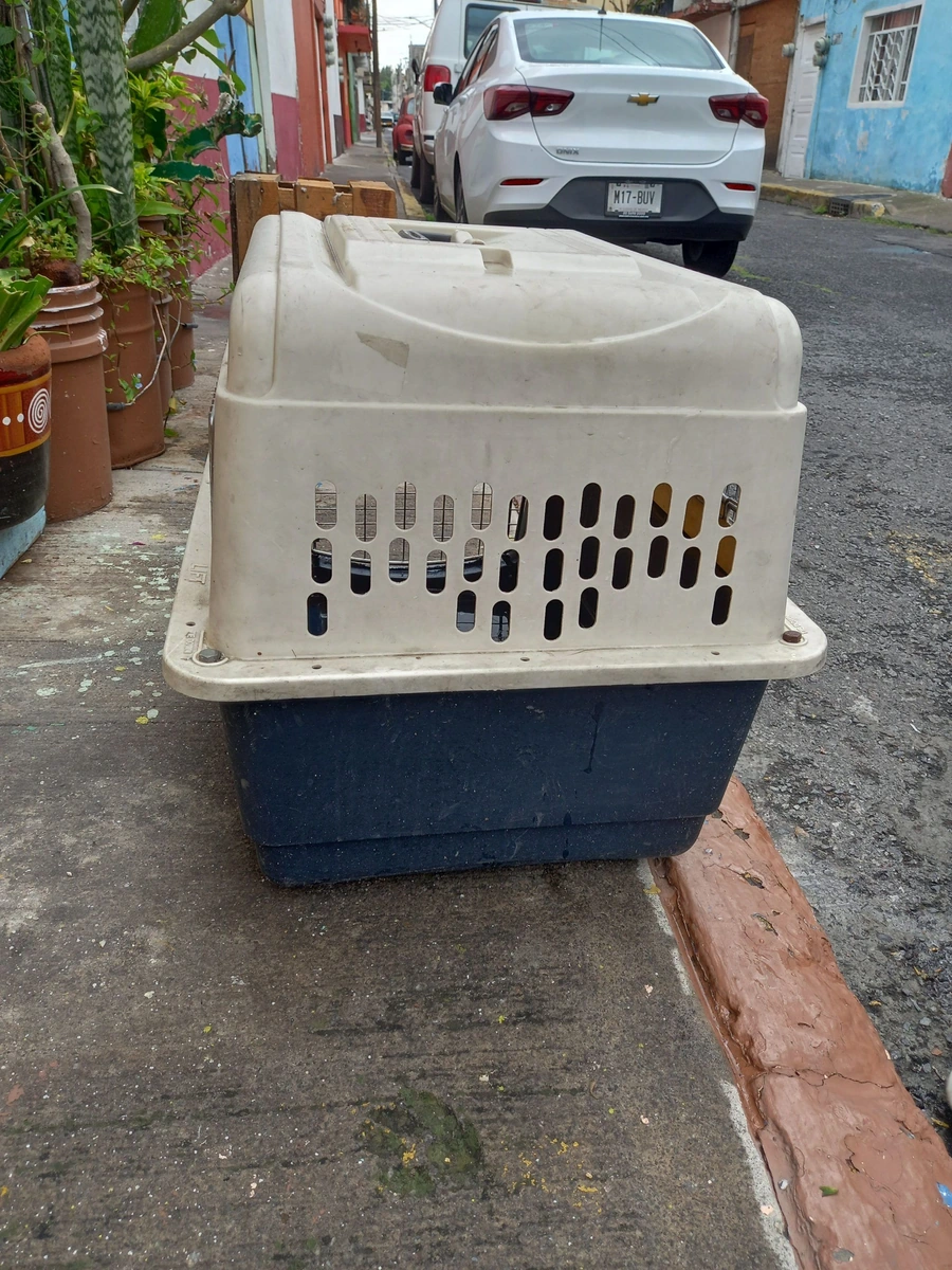 Transportadora